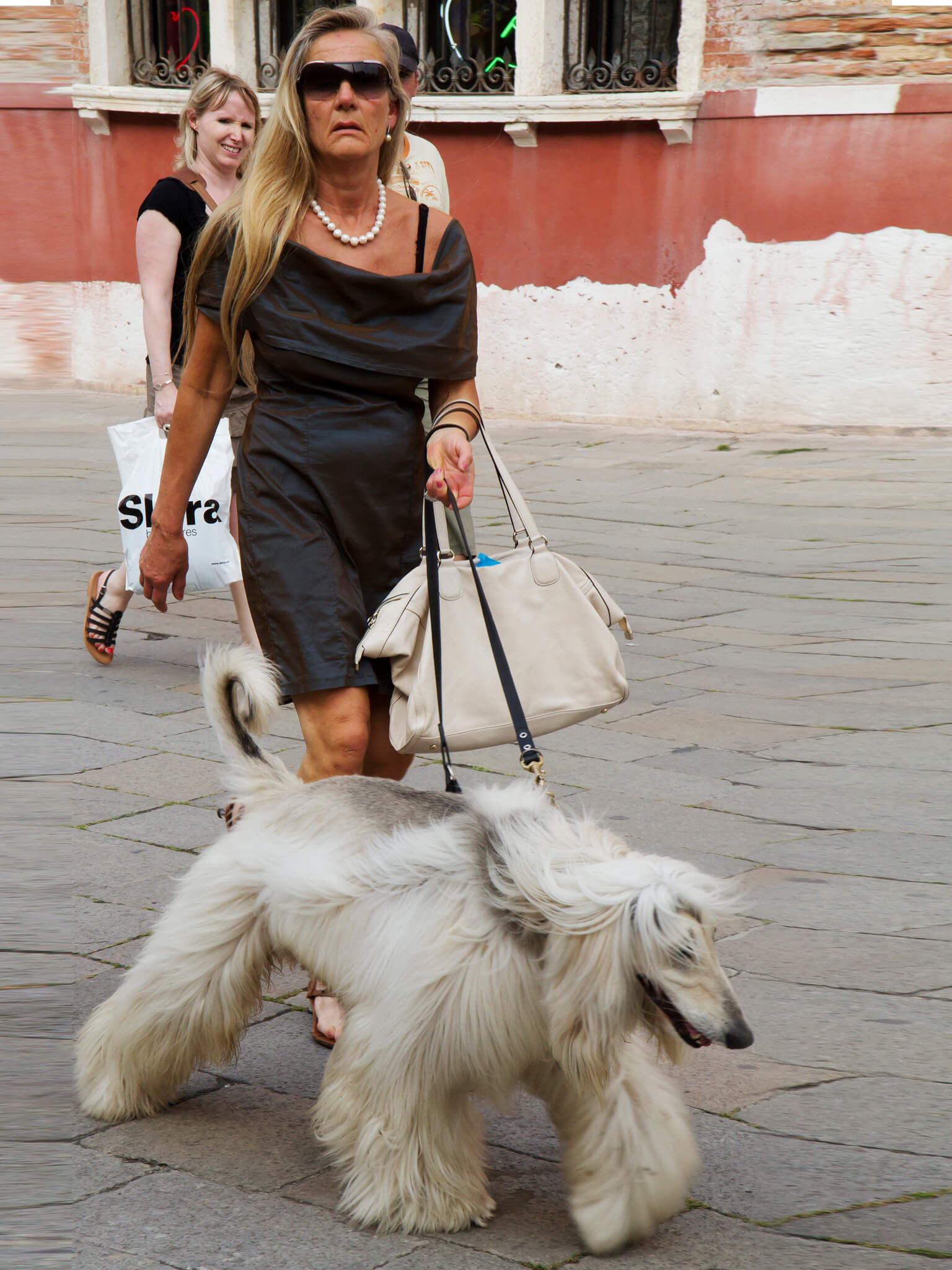 Dog with lovers
