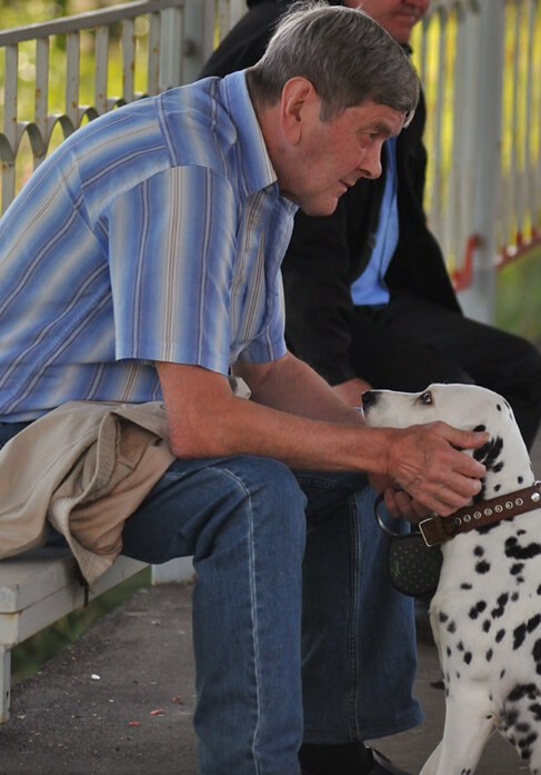 Dog with lovers