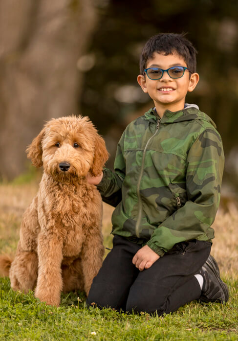 Dog with lovers