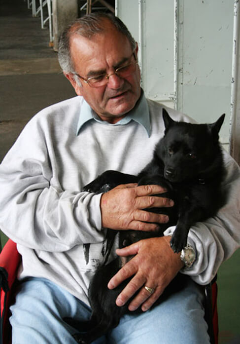 Dog with lovers